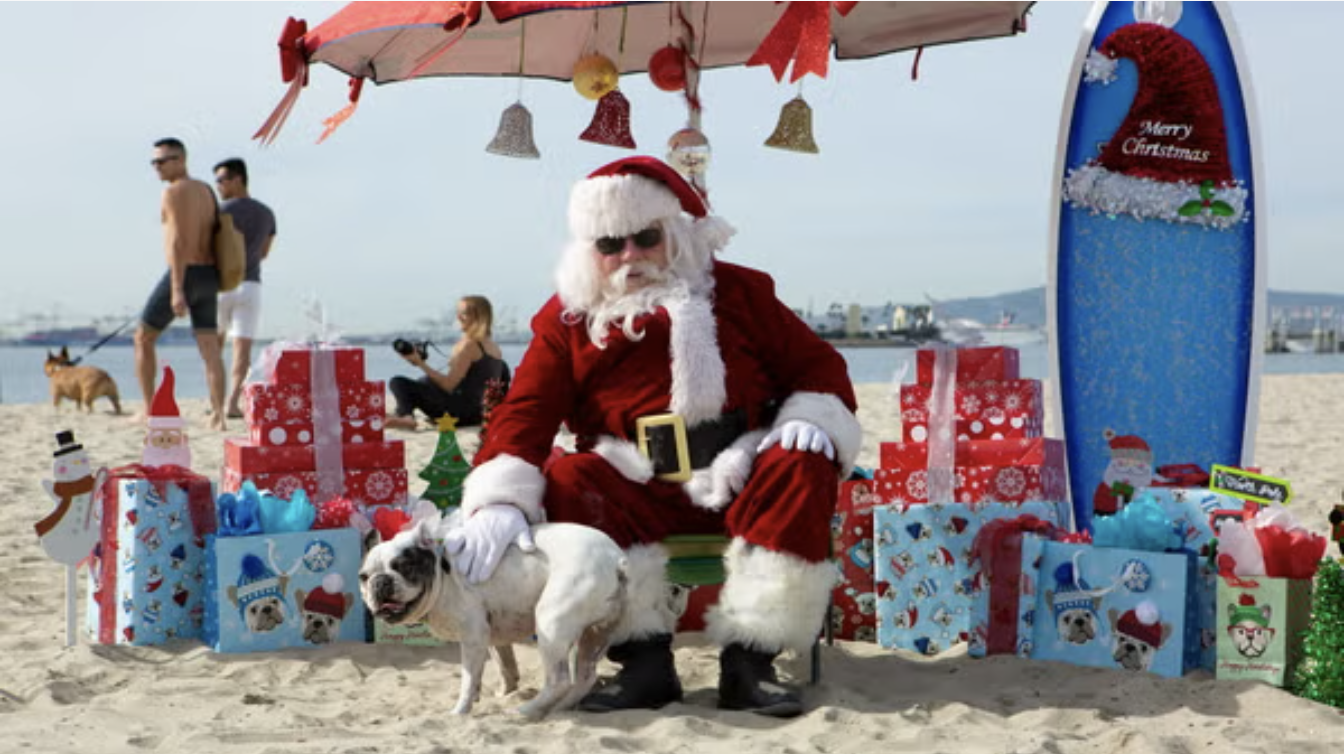 The 8th Annual Reindeer Romp at Rosie’s Dog Beach